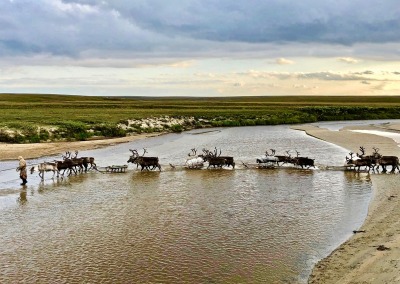 Summer migration with the Nenets